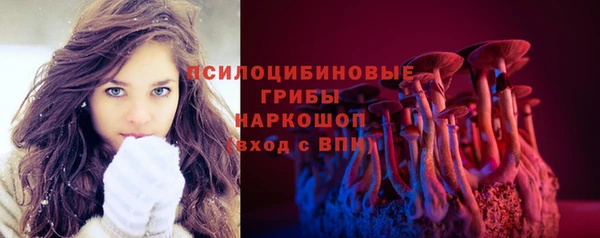 скорость Богородицк