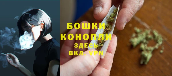 крисы Богородск