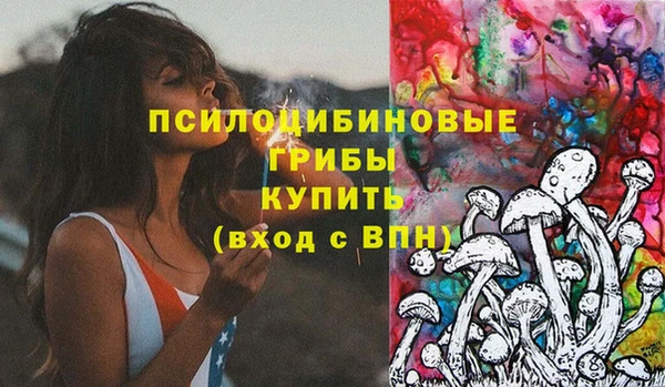 скорость Богородицк