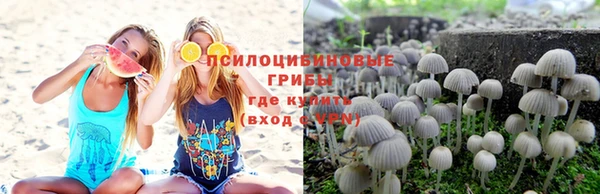 скорость Богородицк